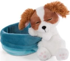 NICI Sleeping Pets Welpe Cockerspaniel 12cm Im Körbchen -Nici Store 23983170 03
