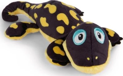 MagNICI GREEN Plüschmagnet Magnettier Salamander Don Fuego Liegend, 12cm (48773) 4 MagNICI GREEN Plüschmagnet Magnettier Salamander Don Fuego Liegend, 12cm (48773) – Bild 4